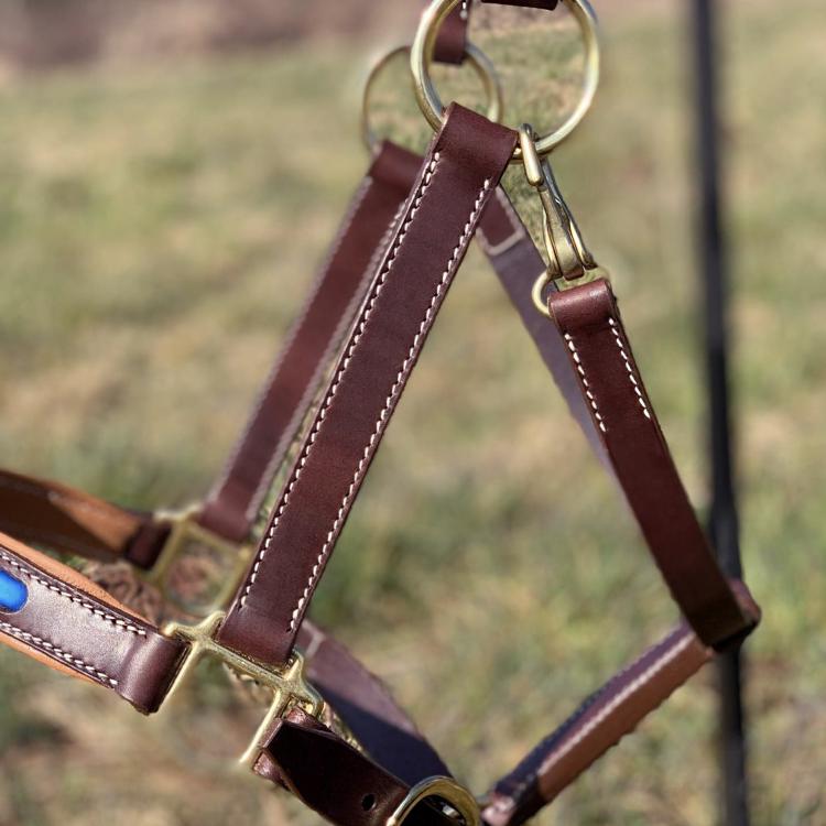 CABON SELLIER | Artisan sellier - Licol bleu / Equitation