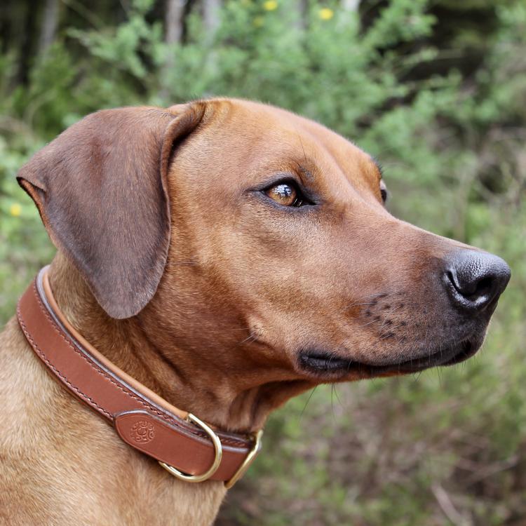 CABON SELLIER | Artisan sellier - Cuir Marron / Accessoires